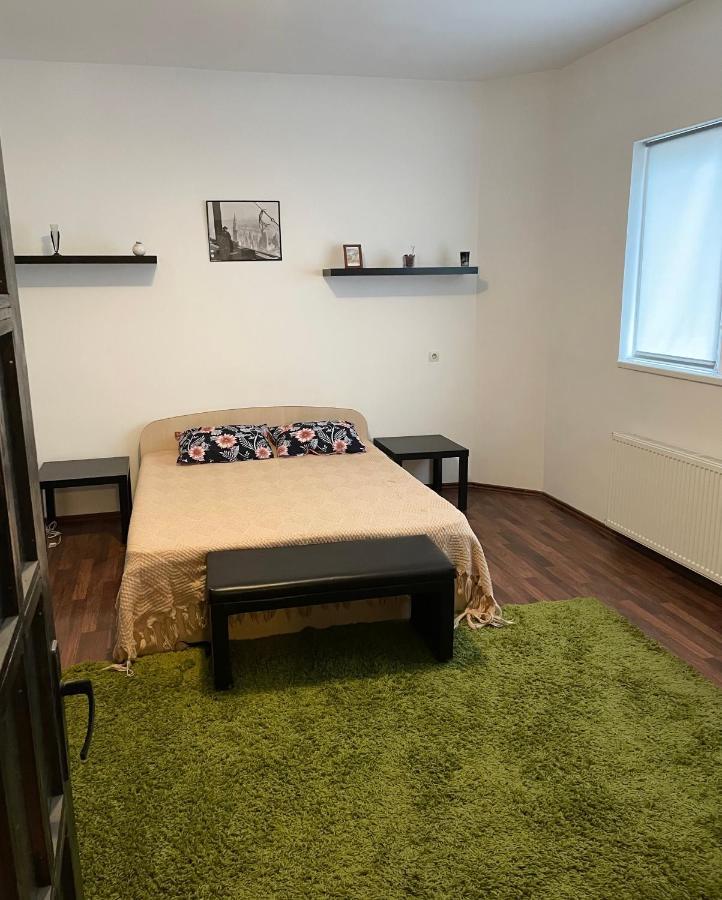 Mosaico Alfetta Hostel Temeşvar Dış mekan fotoğraf