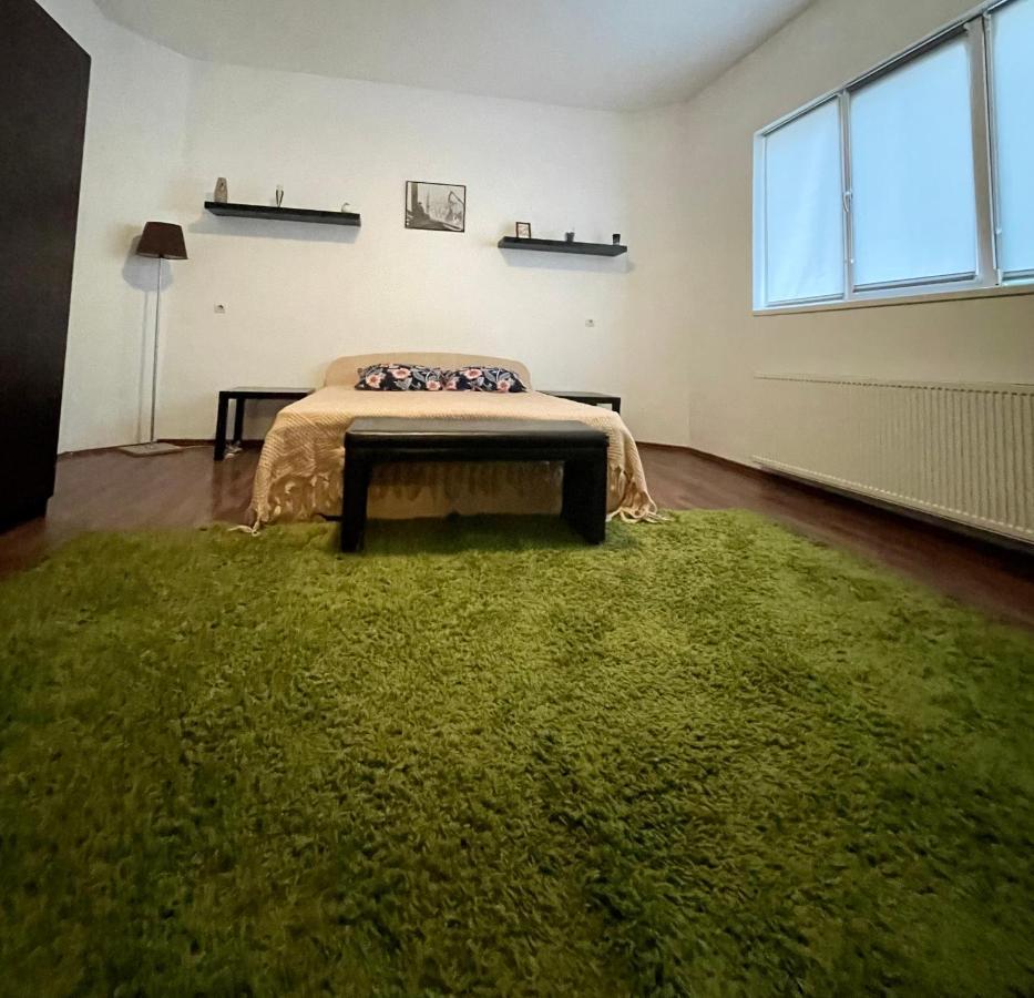 Mosaico Alfetta Hostel Temeşvar Dış mekan fotoğraf