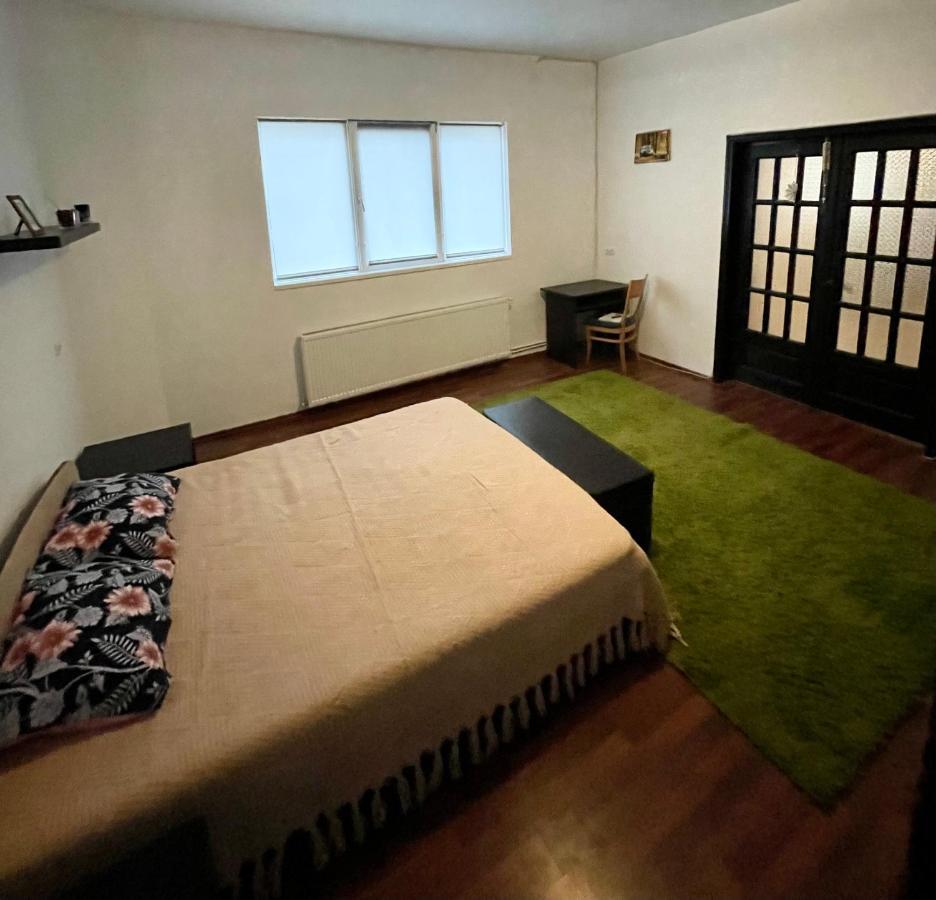 Mosaico Alfetta Hostel Temeşvar Dış mekan fotoğraf