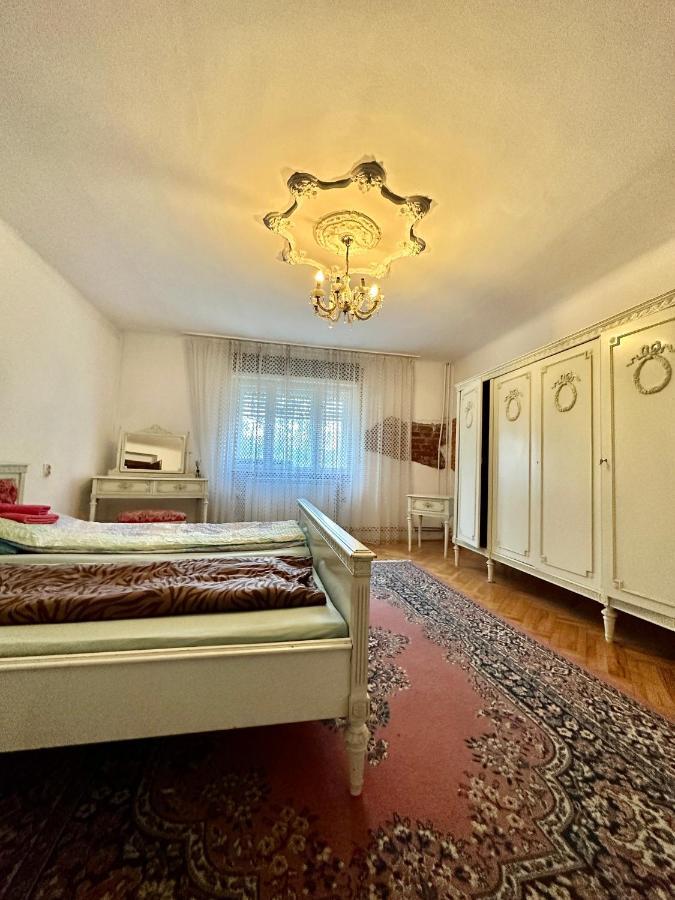 Mosaico Alfetta Hostel Temeşvar Dış mekan fotoğraf