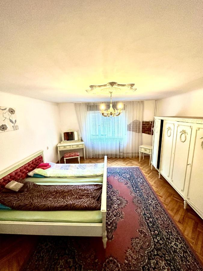 Mosaico Alfetta Hostel Temeşvar Dış mekan fotoğraf