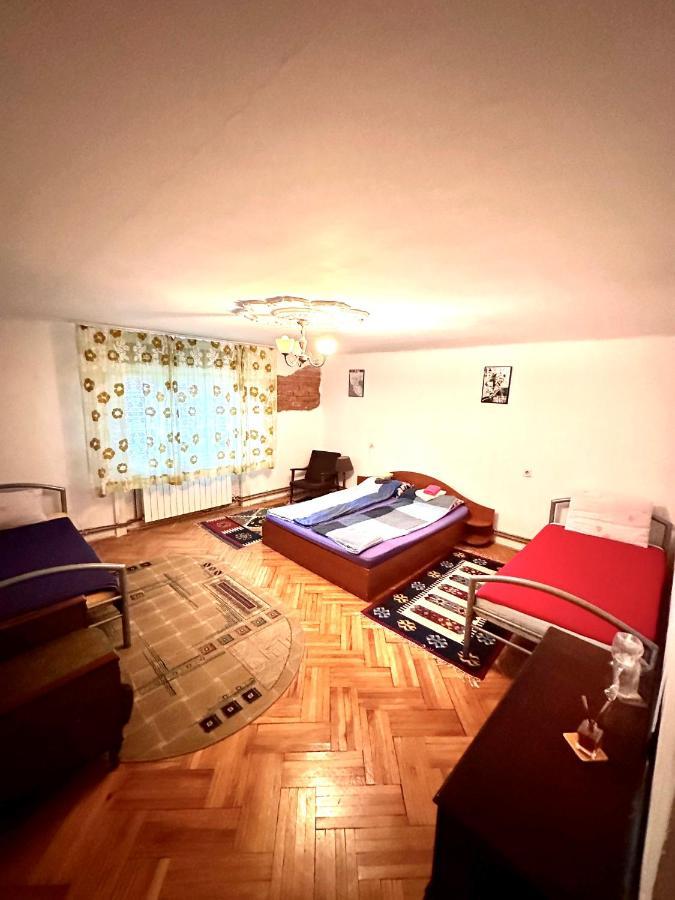 Mosaico Alfetta Hostel Temeşvar Dış mekan fotoğraf