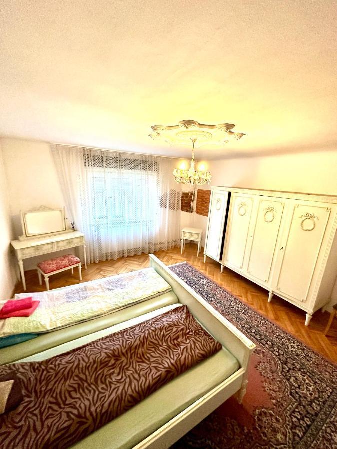 Mosaico Alfetta Hostel Temeşvar Dış mekan fotoğraf