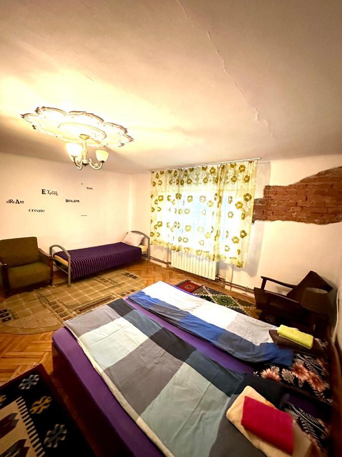 Mosaico Alfetta Hostel Temeşvar Dış mekan fotoğraf