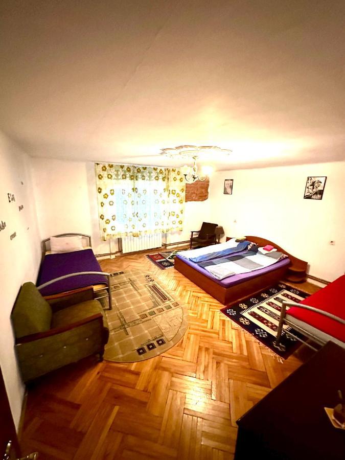 Mosaico Alfetta Hostel Temeşvar Dış mekan fotoğraf